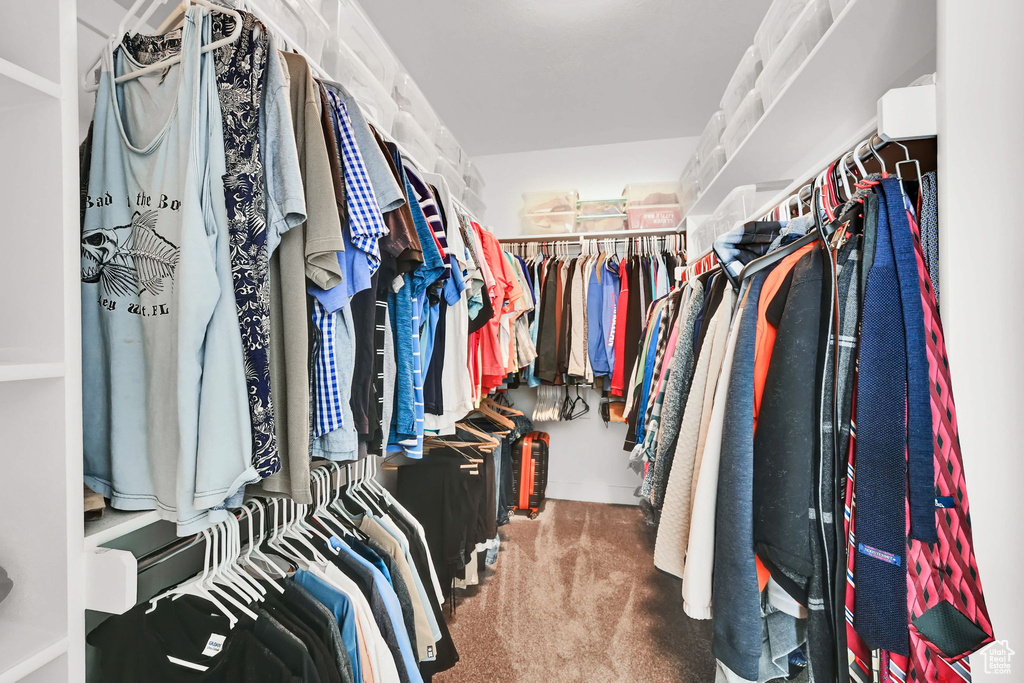 Spacious closet featuring carpet floors
