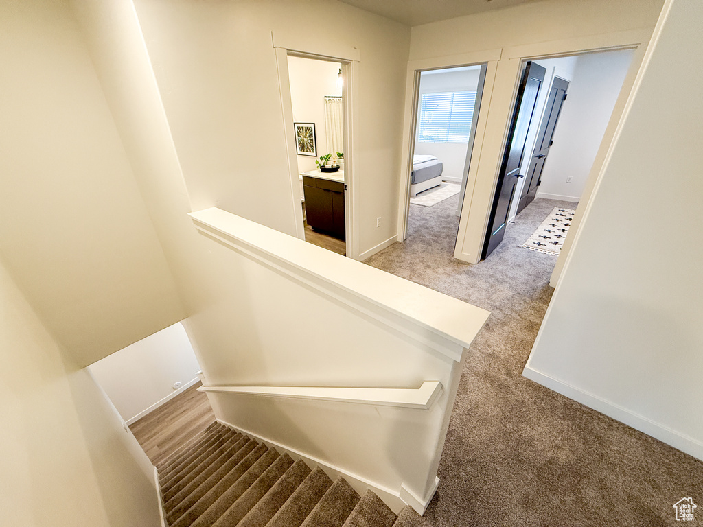 Stairway featuring baseboards and carpet