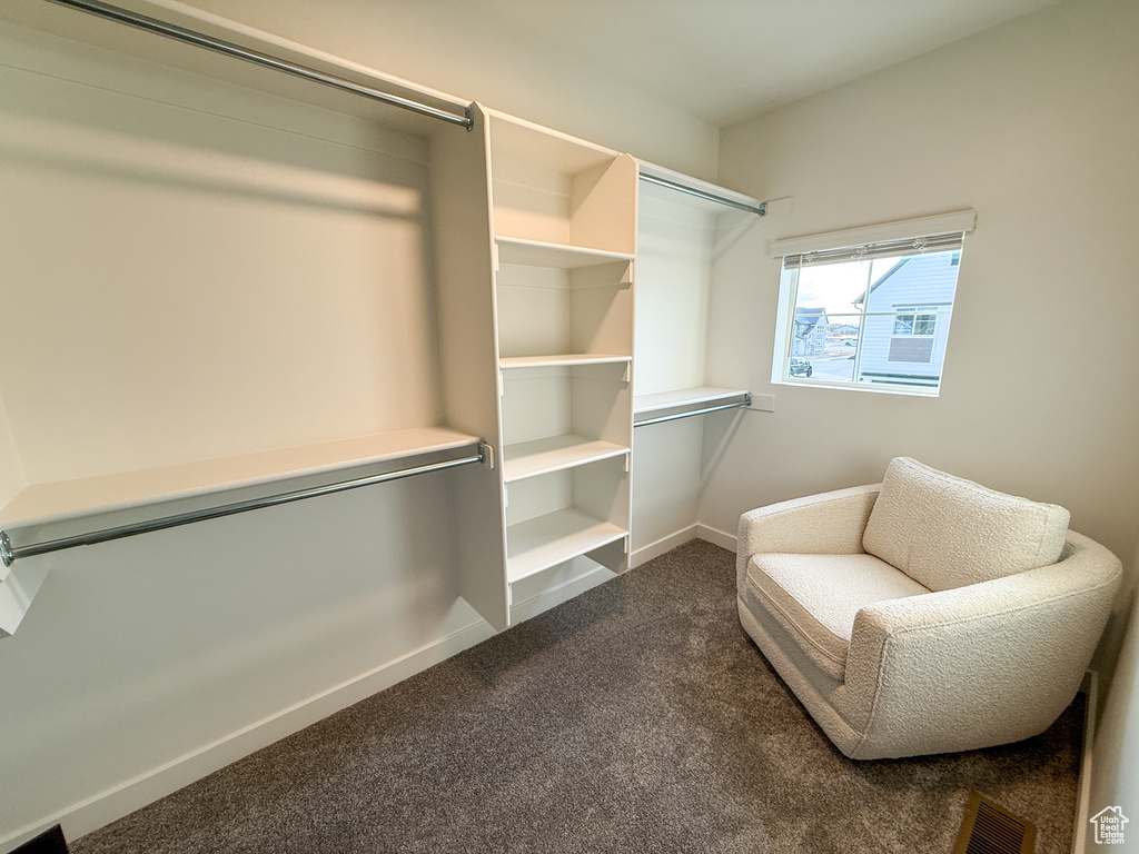 Spacious closet with dark carpet and visible vents