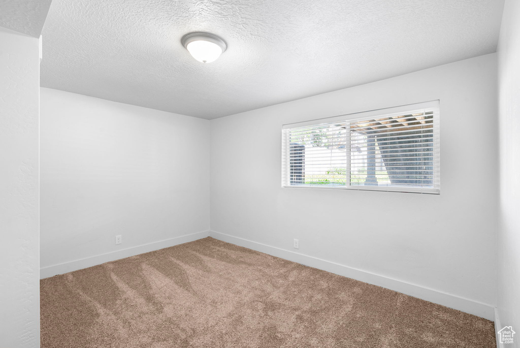 Spare room featuring baseboards, carpet flooring, and a textured ceiling