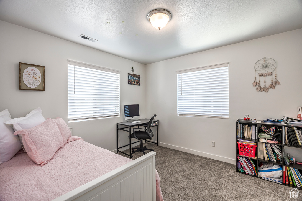 Bedroom featuring baseboards, multiple windows, carpet flooring, and visible vents