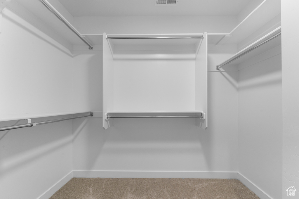 Walk in closet featuring carpet floors