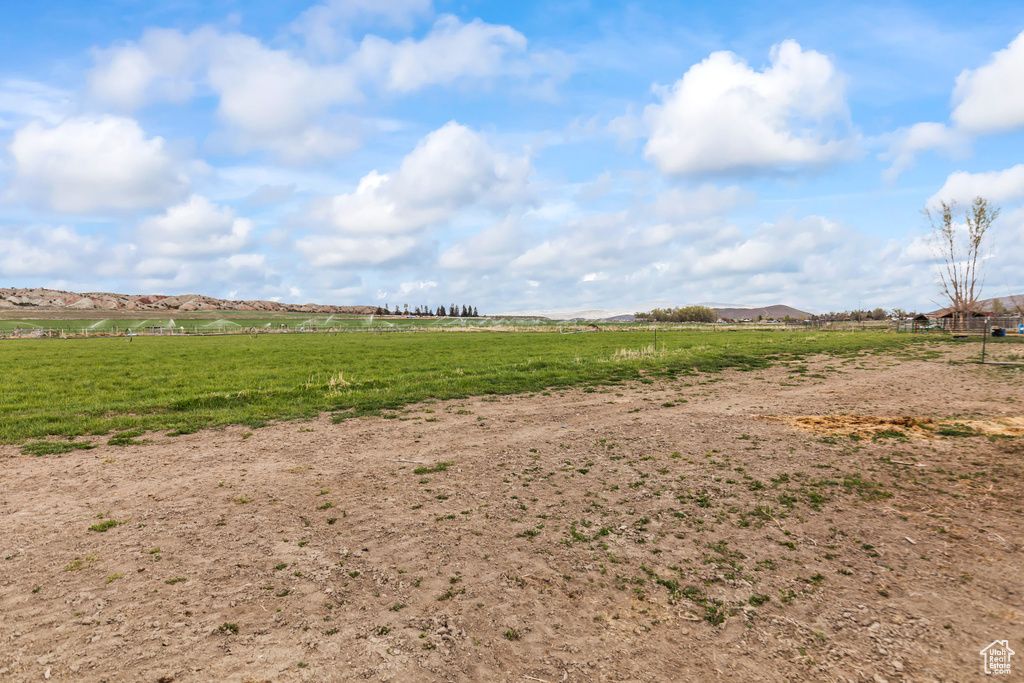 View of local wilderness with a rural view