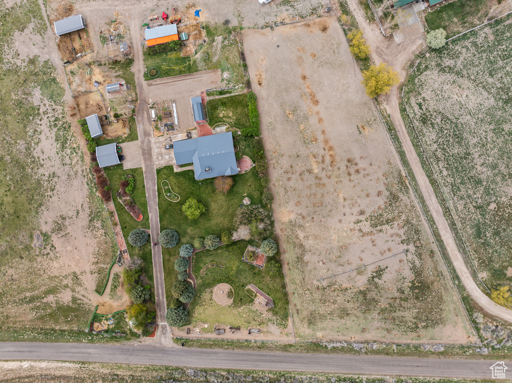 Bird\'s eye view