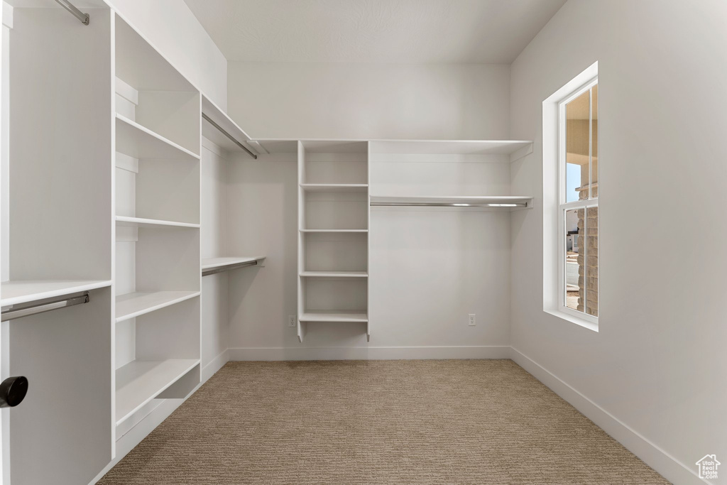 Walk in closet with carpet