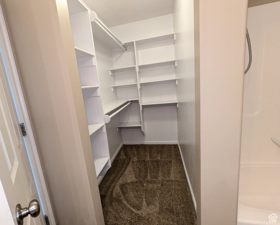 Walk in closet with dark colored carpet
