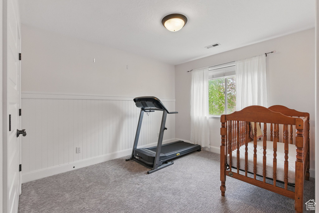 Workout room with carpet floors, baseboards, visible vents, and a wainscoted wall