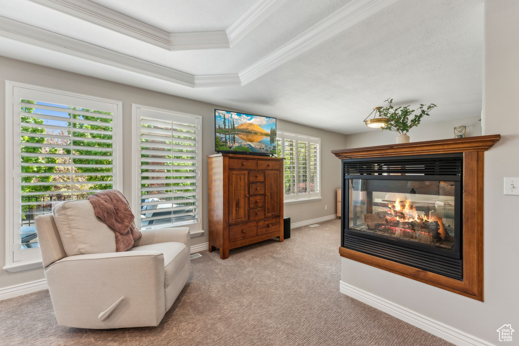 Sitting room featuring a multi sided fireplace, crown molding, baseboards, a raised ceiling, and carpet flooring