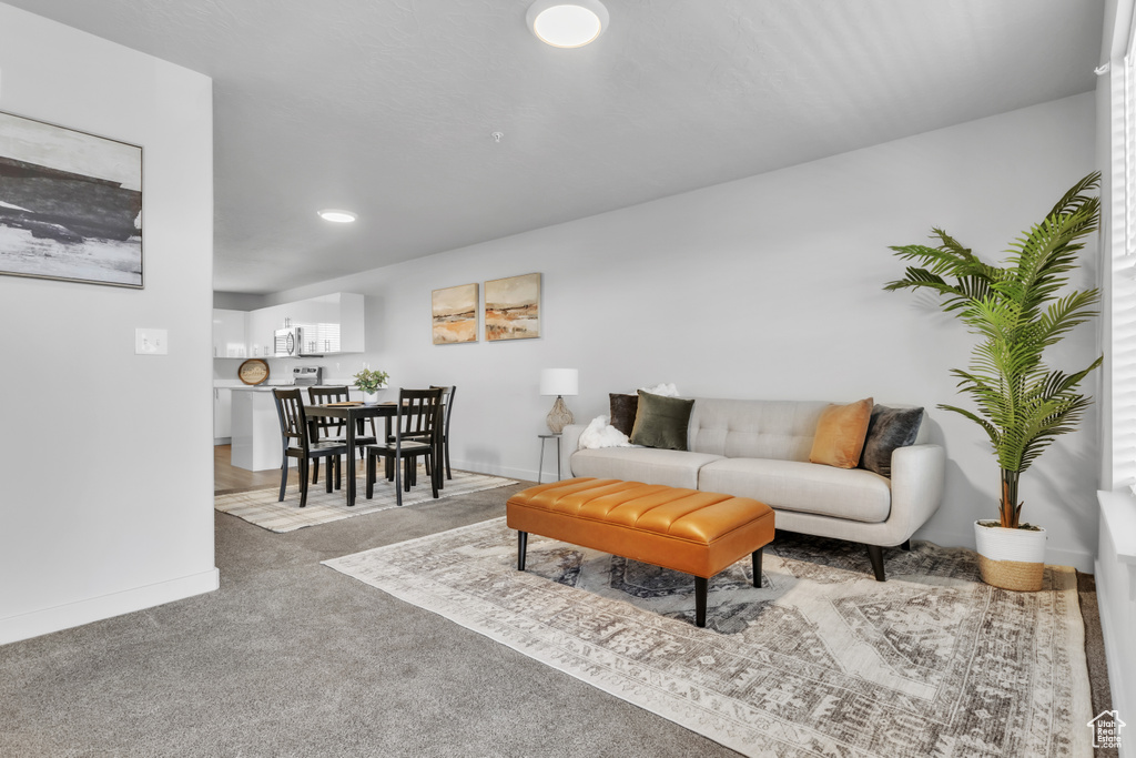 Carpeted living area featuring baseboards and recessed lighting