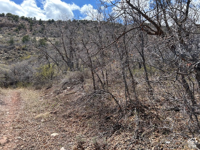 View of nature