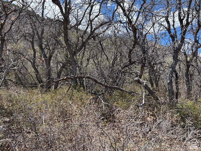 View of landscape with a wooded view