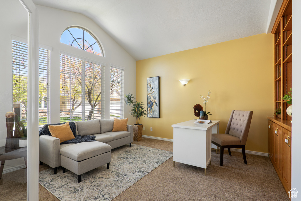 Carpeted office featuring baseboards and high vaulted ceiling
