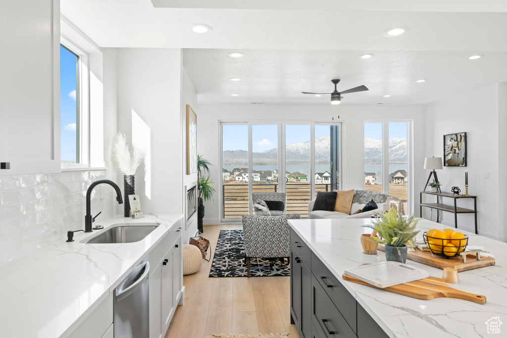 Kitchen with a sink, stainless steel dishwasher, recessed lighting, and a healthy amount of sunlight