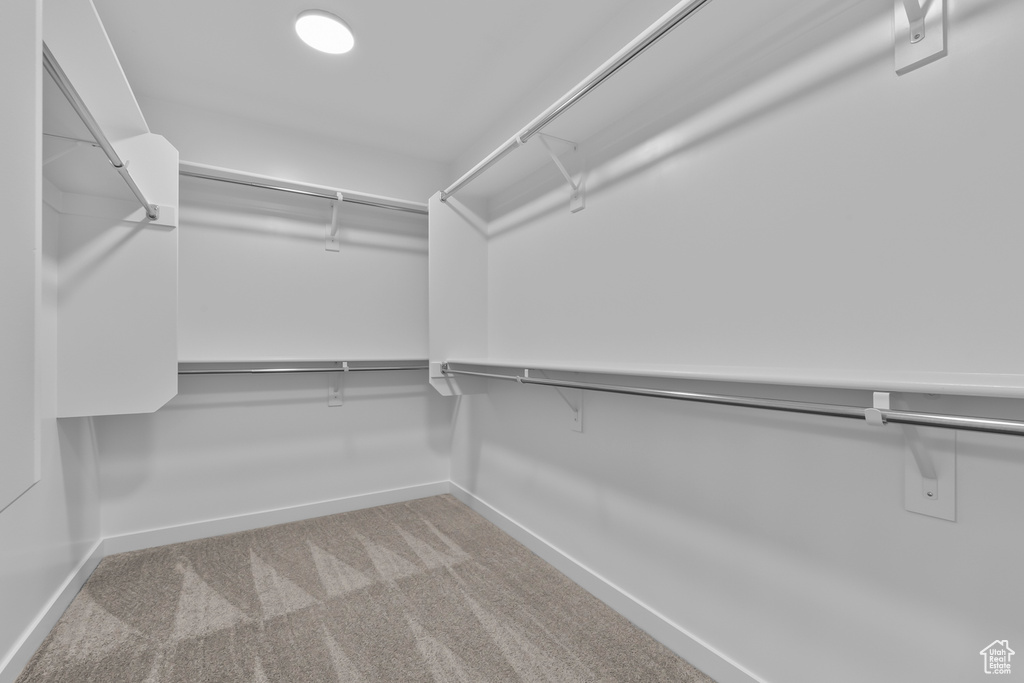 Walk in closet with carpet floors
