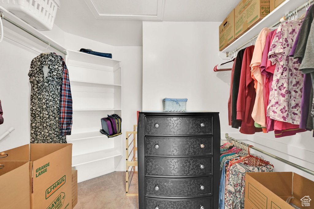 Spacious closet featuring attic access and carpet