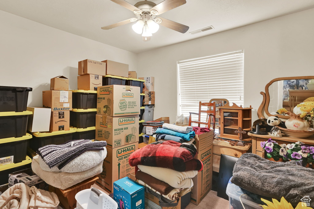 Storage with ceiling fan and visible vents