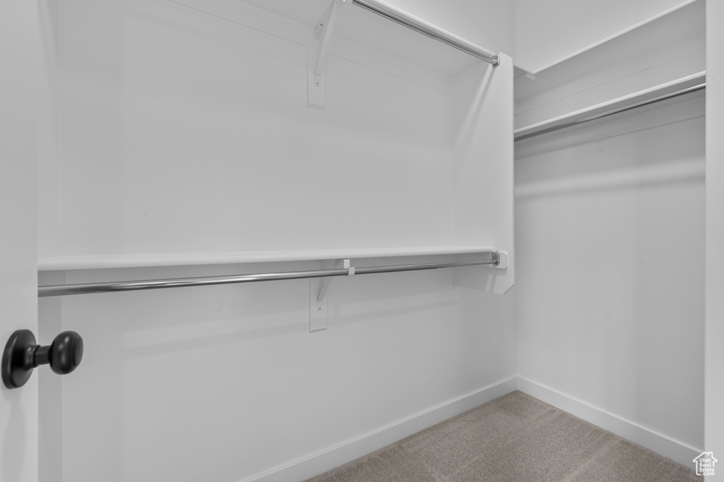 Walk in closet with carpet