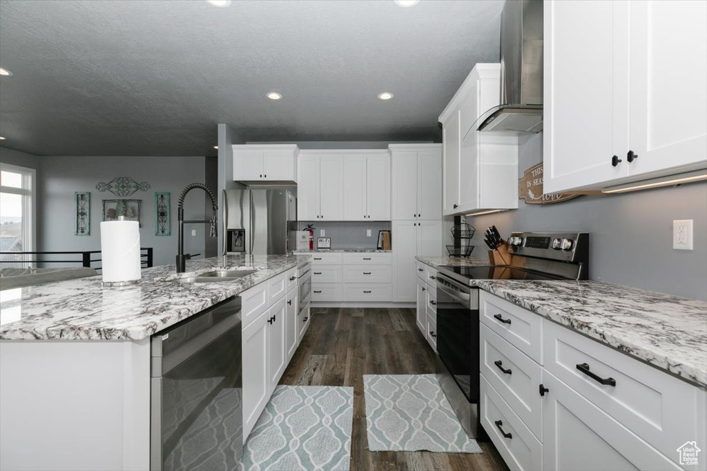 Kitchen with dark wood finished floors, wall chimney range hood, recessed lighting, a sink, and stainless steel appliances