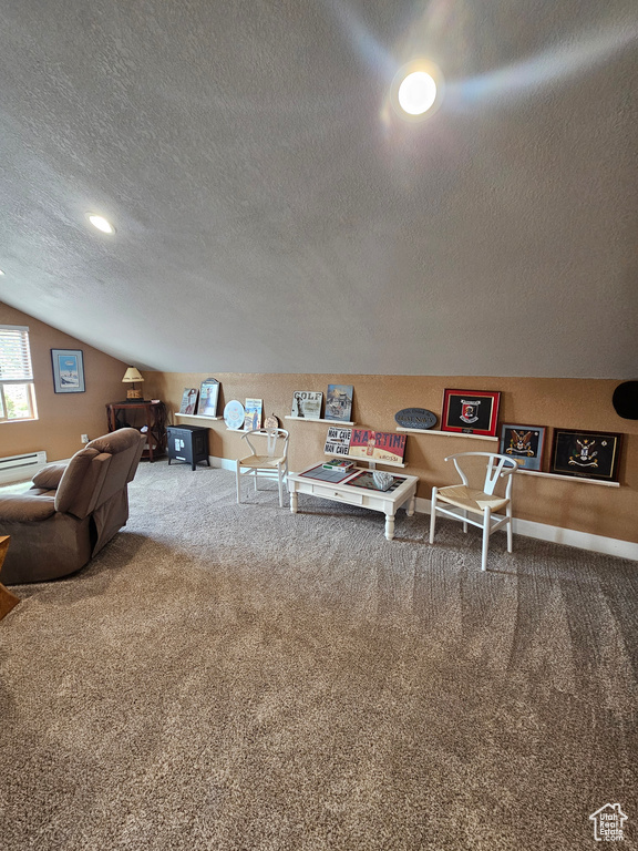 Living room featuring carpet flooring, a textured ceiling, baseboards, lofted ceiling, and a baseboard heating unit