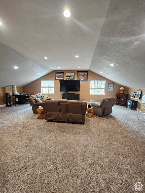 Carpeted living room featuring a healthy amount of sunlight, a textured ceiling, and lofted ceiling