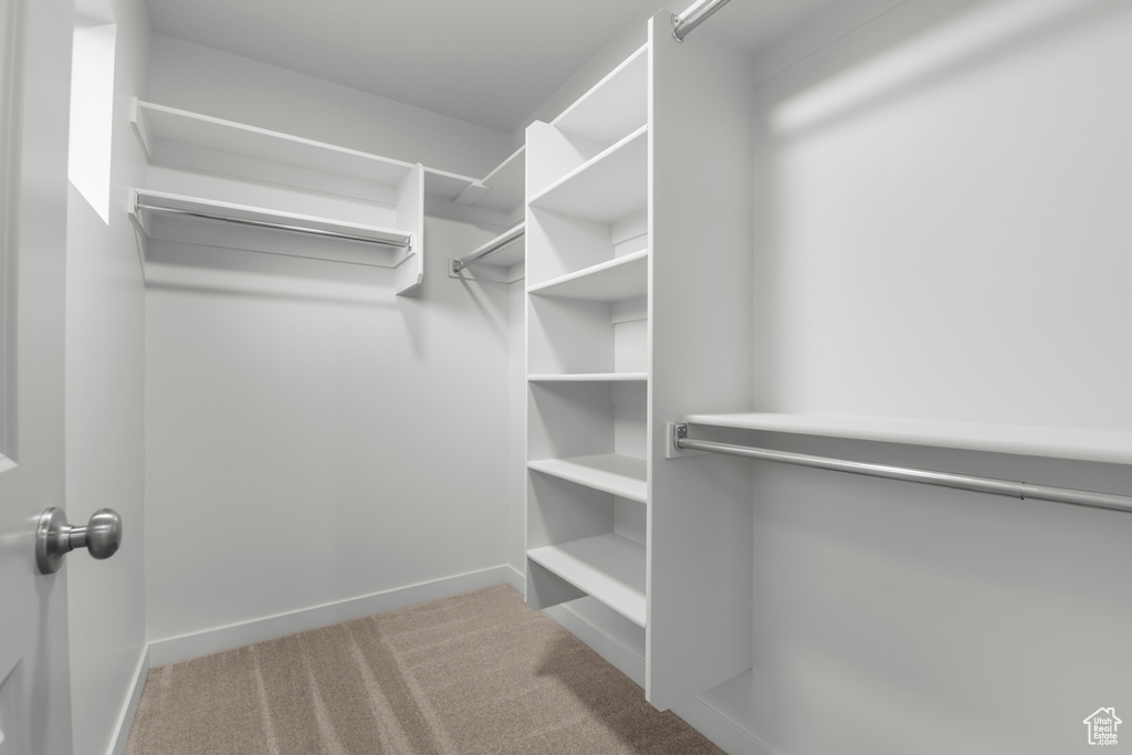 Walk in closet with carpet flooring