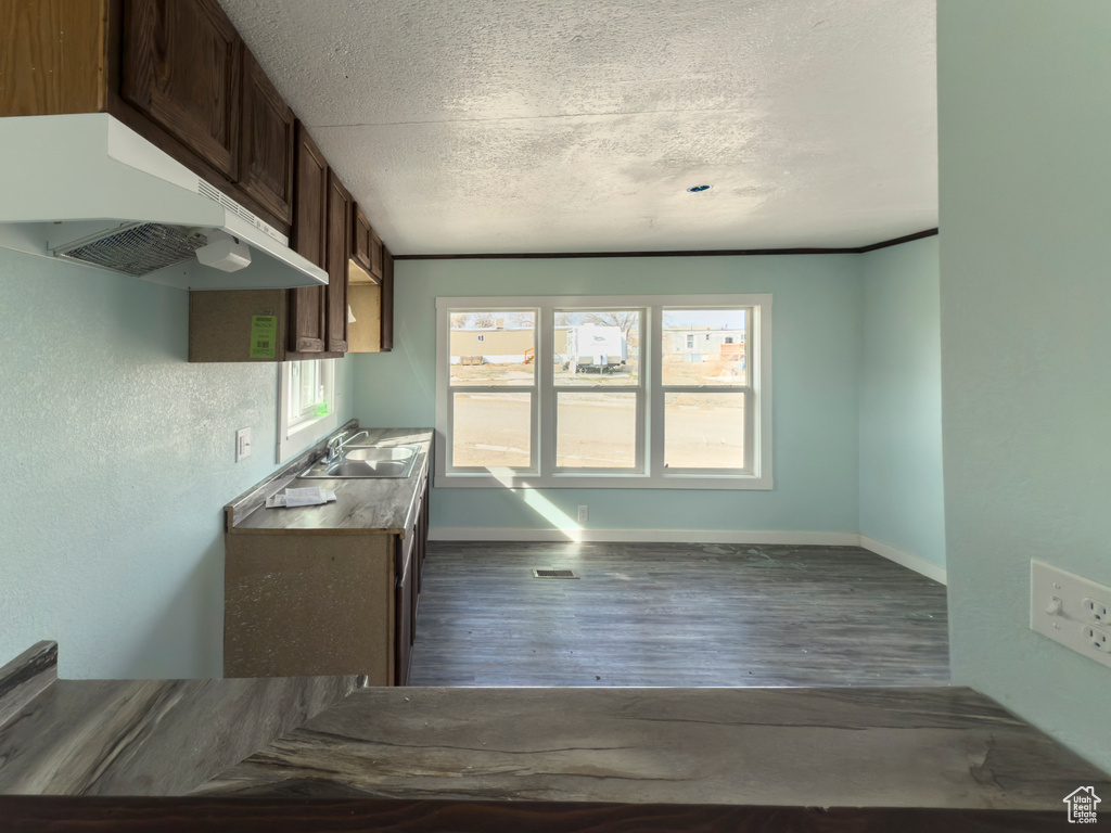 Kitchen featuring under cabinet range hood, dark brown cabinets, a textured ceiling, and a sink