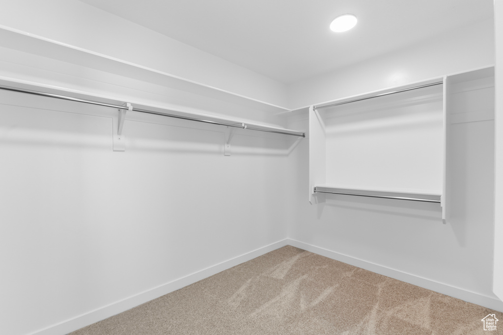 Spacious closet featuring carpet
