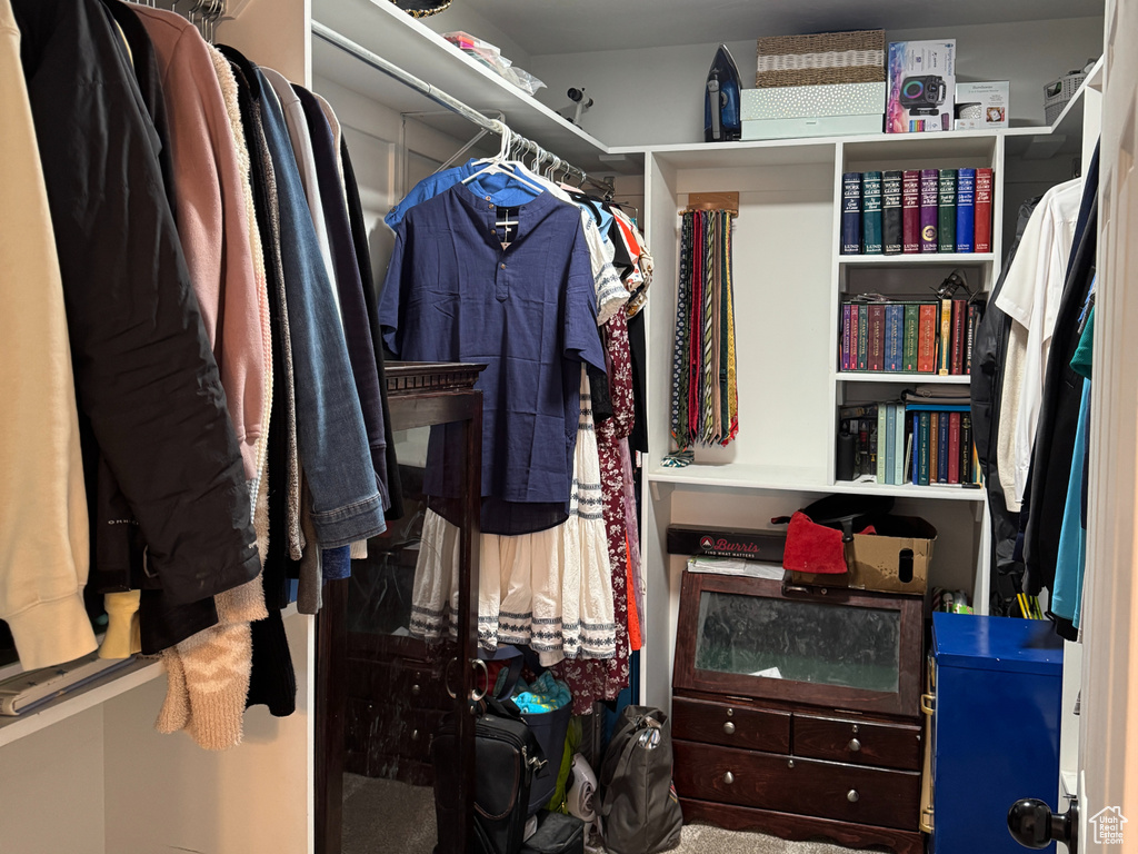 Walk in closet featuring carpet flooring