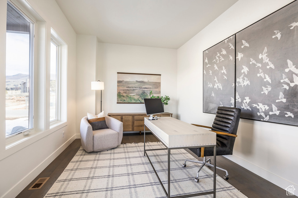Home office with baseboards, a healthy amount of sunlight, and wood finished floors
