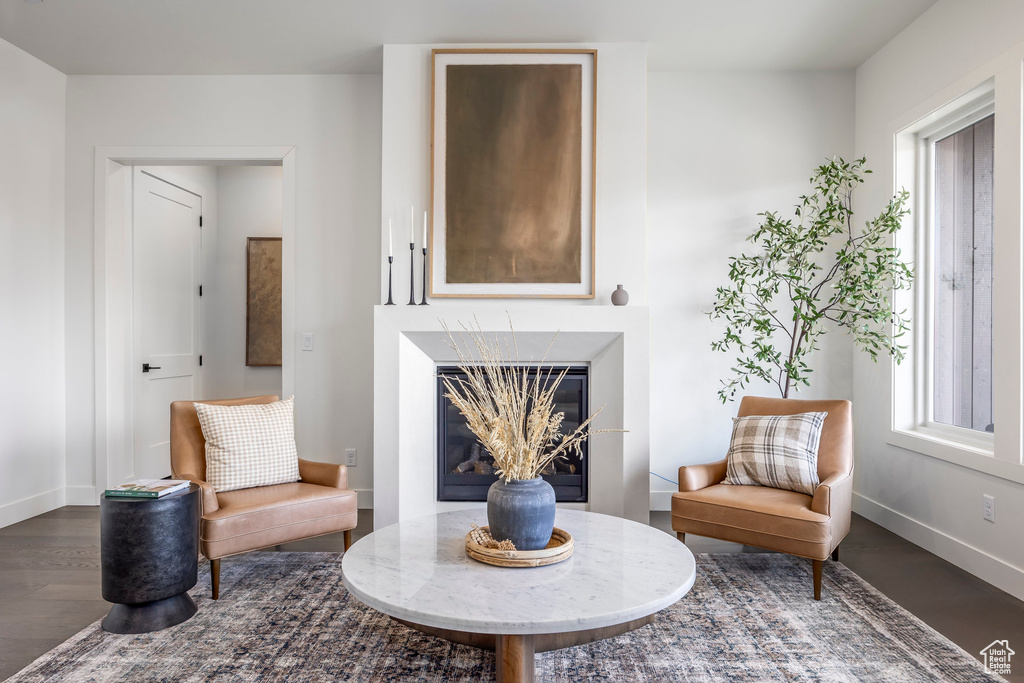 Living area featuring baseboards, wood finished floors, and a premium fireplace
