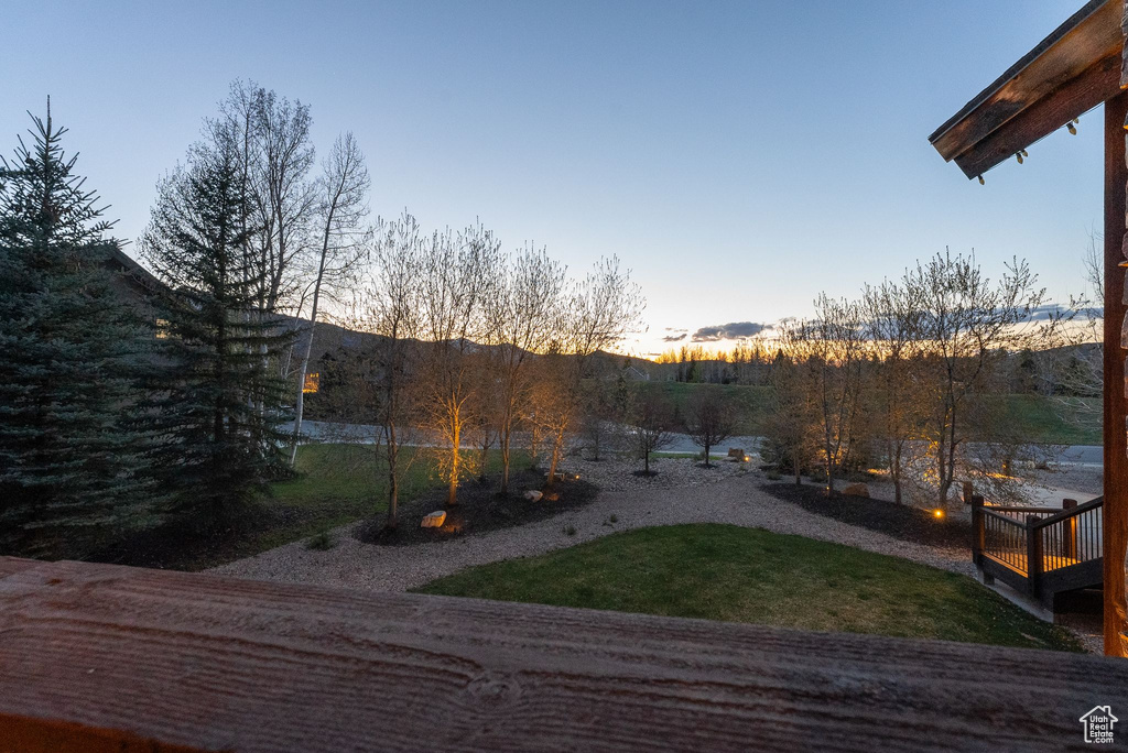 View of yard at dusk