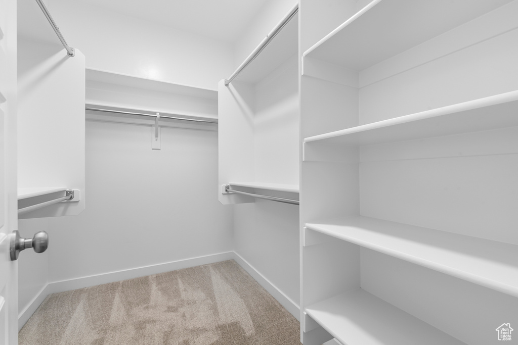 Walk in closet featuring carpet