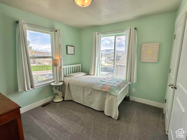 Bedroom with a textured ceiling, baseboards, visible vents, and dark colored carpet