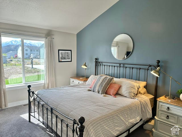 Bedroom with carpet and lofted ceiling