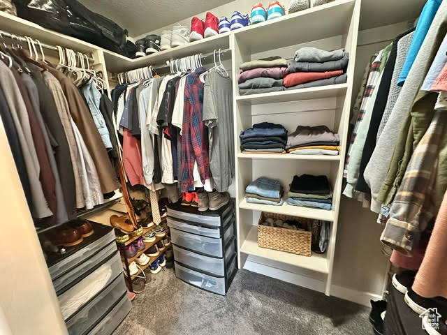 Walk in closet with carpet floors