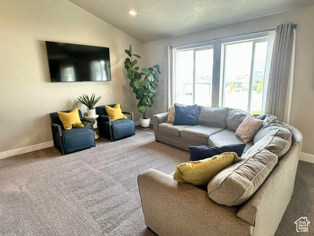 Carpeted living room featuring baseboards and lofted ceiling