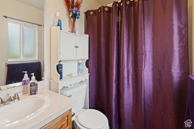 Full bathroom featuring vanity, toilet, and a shower with curtain