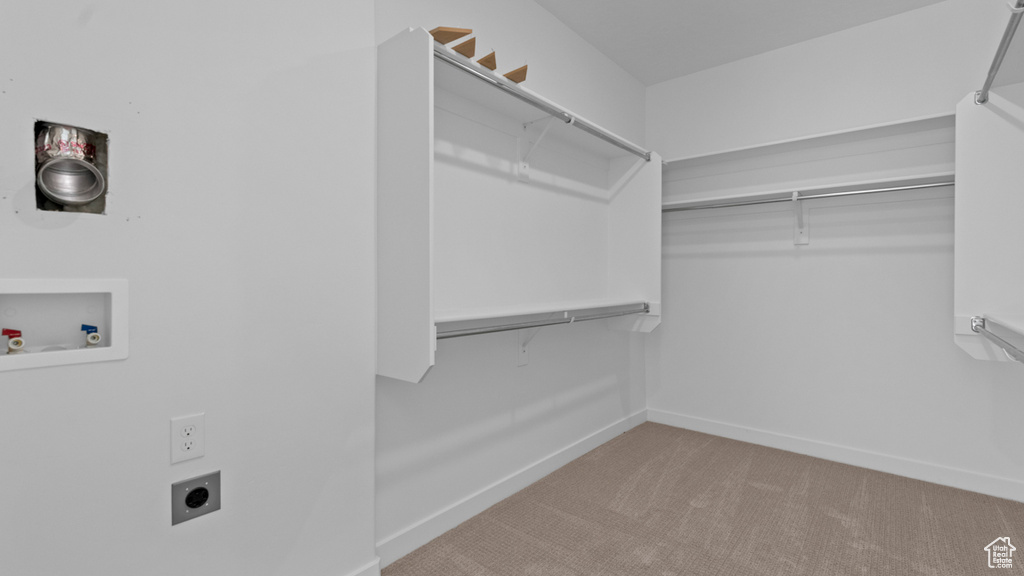 Spacious closet featuring carpet flooring