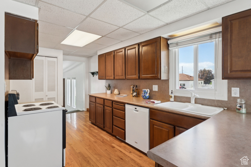Kitchen with white appliances, a drop ceiling, light countertops, a sink, and light wood finished floors