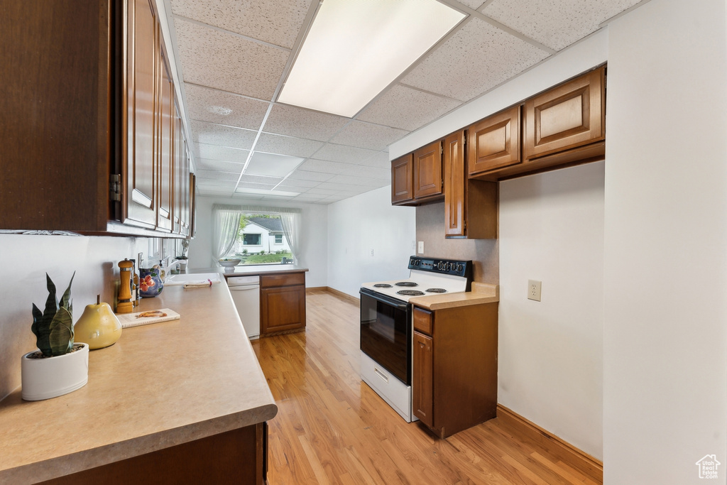Kitchen featuring white dishwasher, light wood-type flooring, a paneled ceiling, and electric range oven