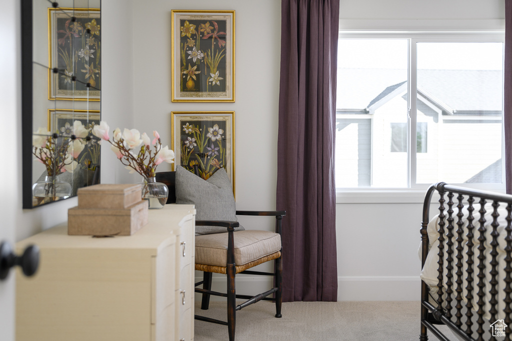 Bedroom with carpet floors and baseboards