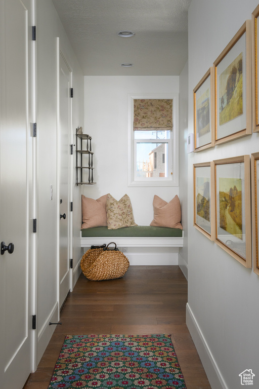 Mudroom with baseboards and wood finished floors