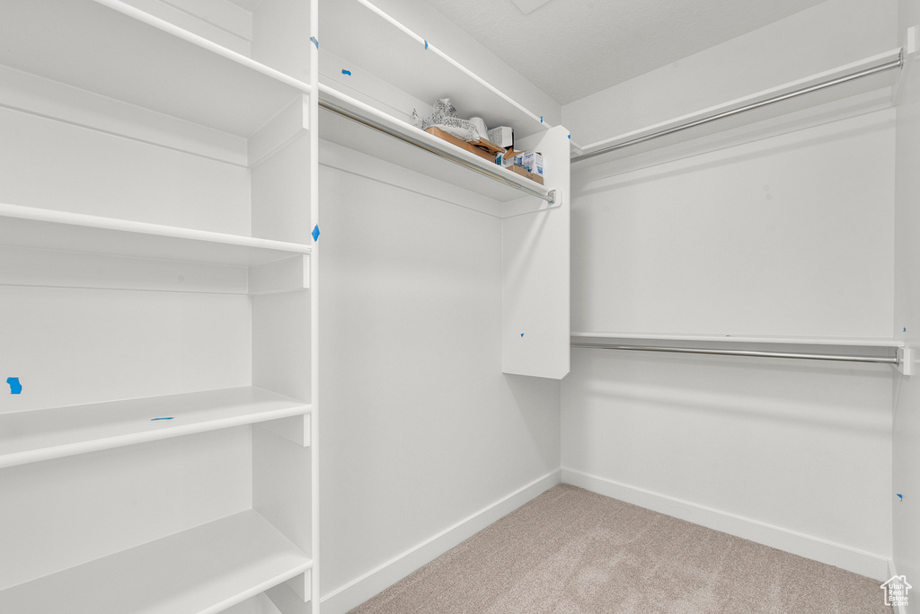 Walk in closet featuring carpet flooring
