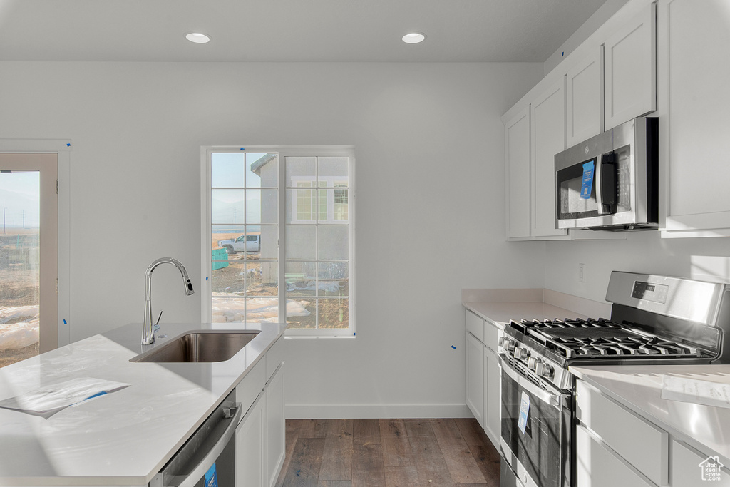 Kitchen with a sink, light countertops, stainless steel appliances, a healthy amount of sunlight, and dark wood-type flooring