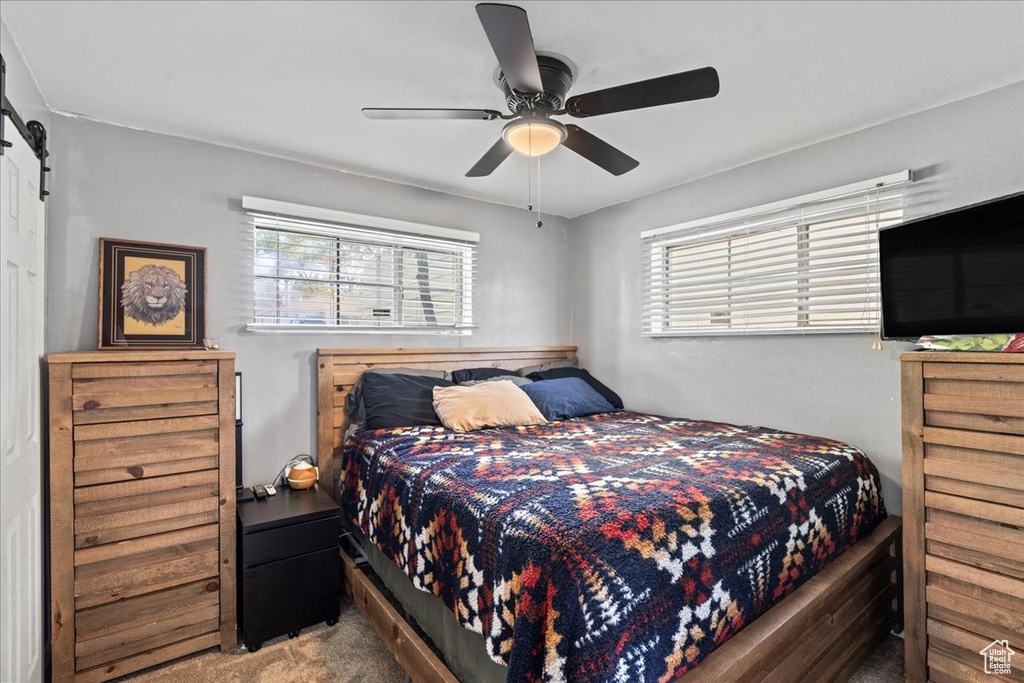 Carpeted bedroom featuring a barn door, a ceiling fan, and multiple windows