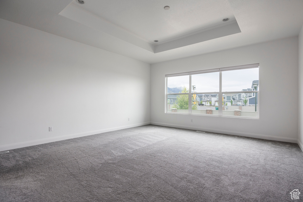Carpeted spare room with a raised ceiling and baseboards