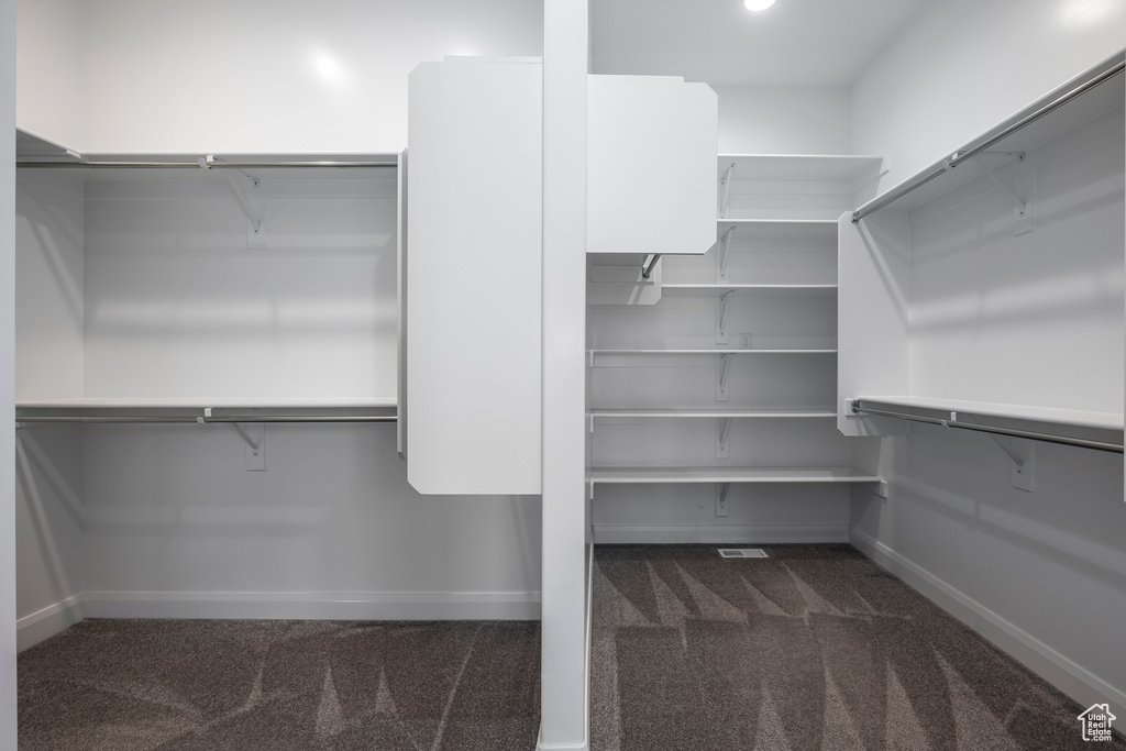 Spacious closet featuring dark carpet
