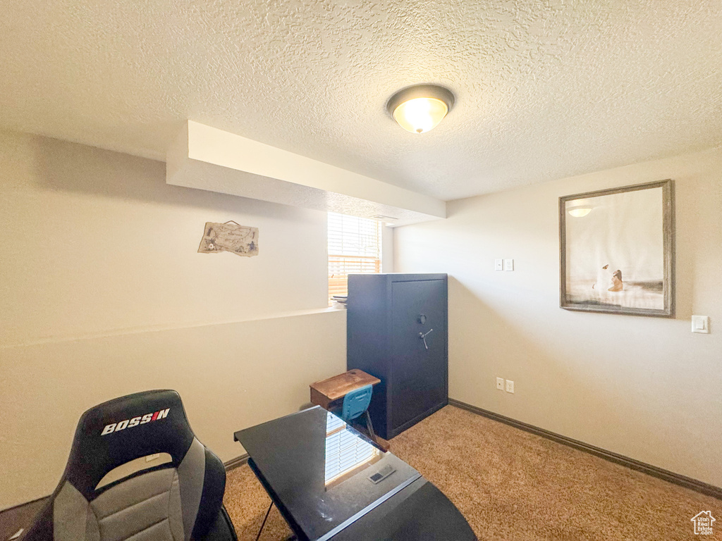 Home office featuring carpet flooring, a textured ceiling, and baseboards