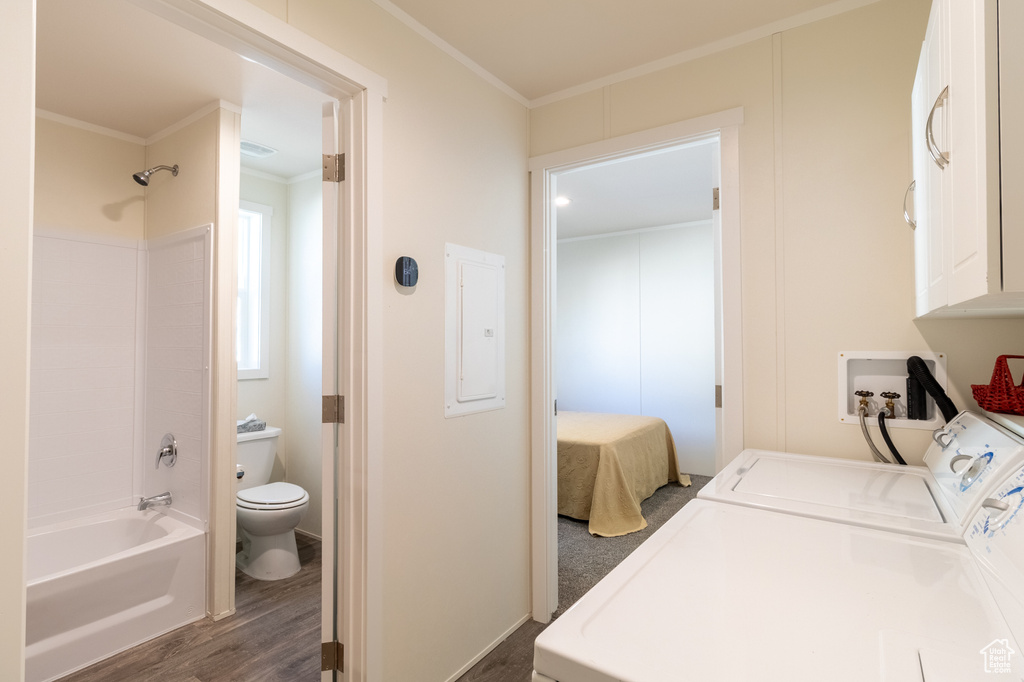 Washroom featuring crown molding, dark wood-style flooring, electric panel, washing machine and clothes dryer, and cabinet space