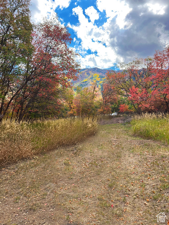 View of yard featuring a mountain view